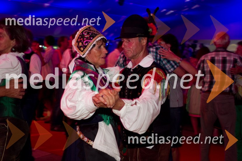 ObiskovalciFestival Avsenik 2013, Avsenikov dan