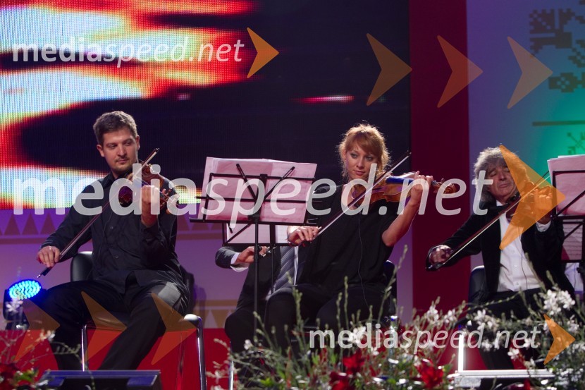 Godalna skupina Slovenske filharmonijeFestival Avsenik 2013, Avsenikov dan