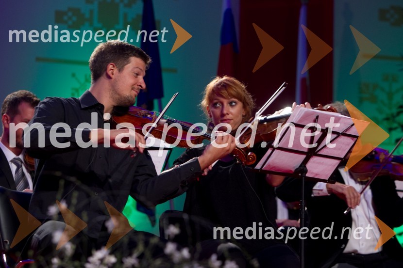Godalna skupina Slovenske filharmonijeFestival Avsenik 2013, Avsenikov dan