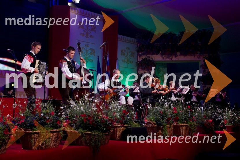 Festival Avsenik 2013, Avsenikov dan