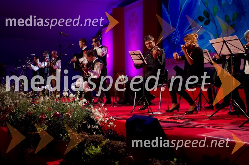 Festival Avsenik 2013, Avsenikov dan