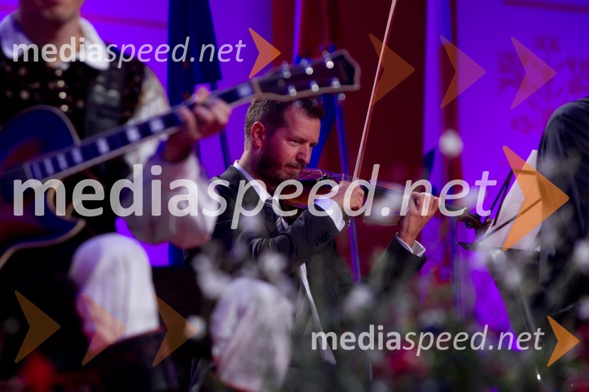 Žiga Cerar, glasbenikFestival Avsenik 2013, Avsenikov dan