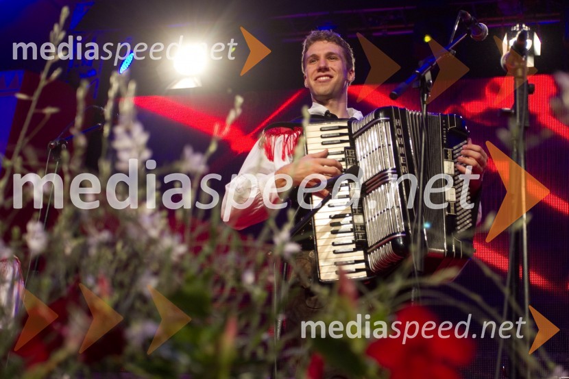 Festival Avsenik 2013, Avsenikov dan