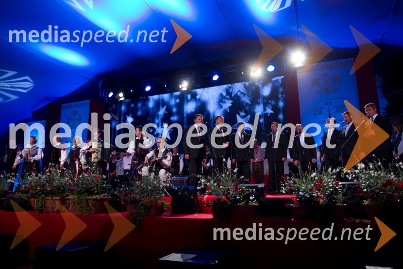 Festival Avsenik 2013, Avsenikov dan