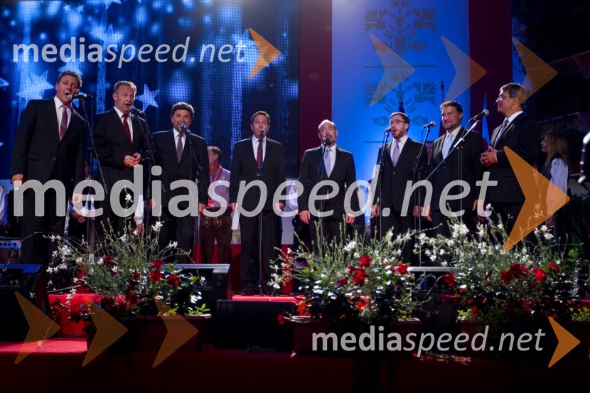 Festival Avsenik 2013, Avsenikov dan