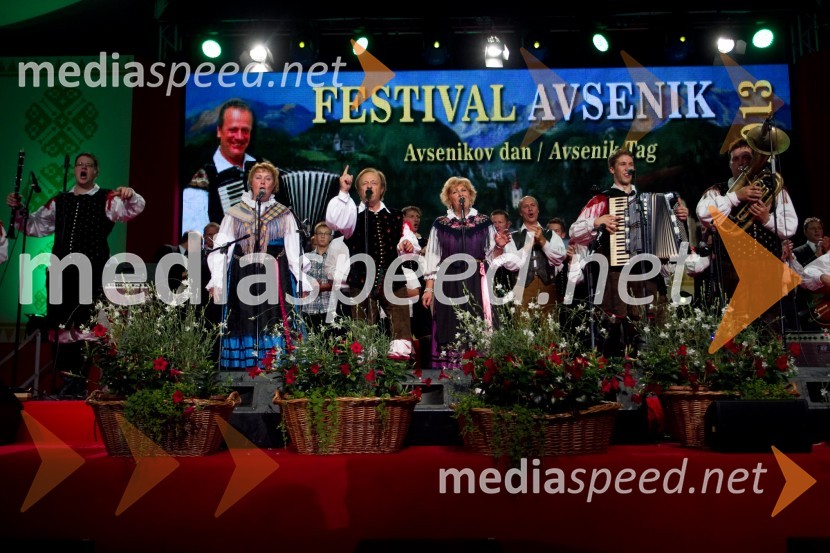 Festival Avsenik 2013, Avsenikov dan
