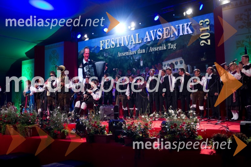 NastopajočiFestival Avsenik 2013, Avsenikov dan