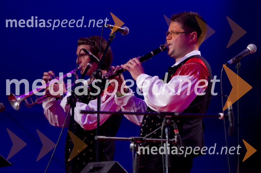 Ansambel Saša AvsenikaFestival Avsenik 2013, Avsenikov dan