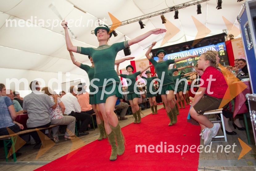Laške mažoretkeFestival Avsenik 2013, slovenski dan