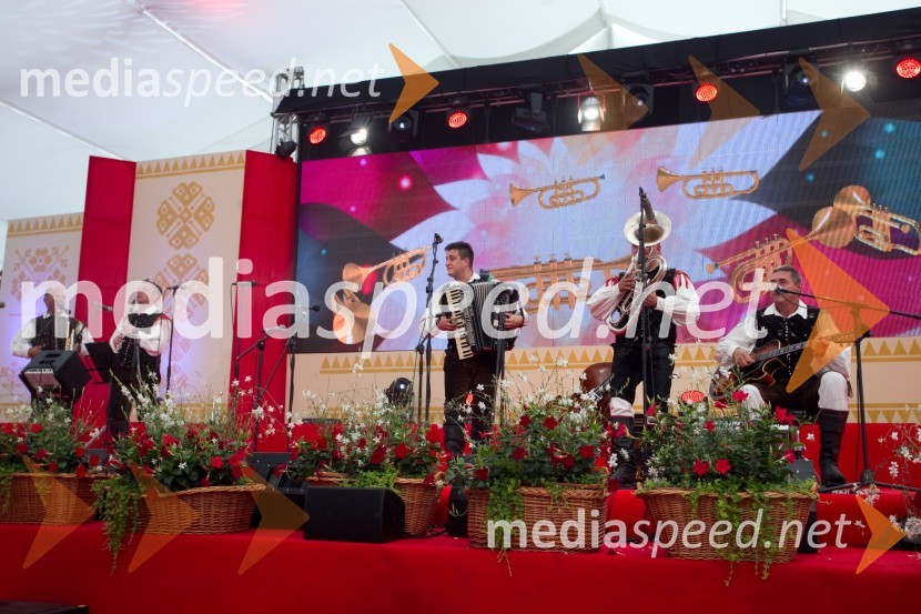 Veseli BegunjčaniFestival Avsenik 2013, slovenski dan