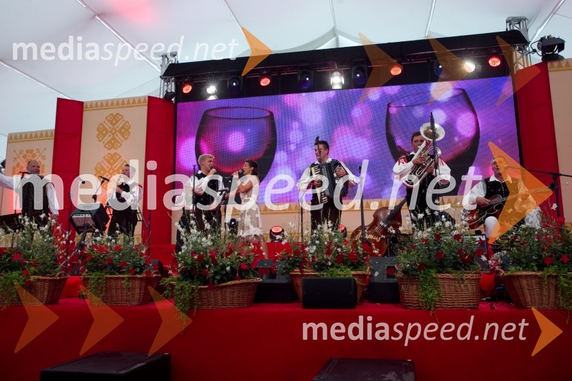 Veseli BegunjčaniFestival Avsenik 2013, slovenski dan