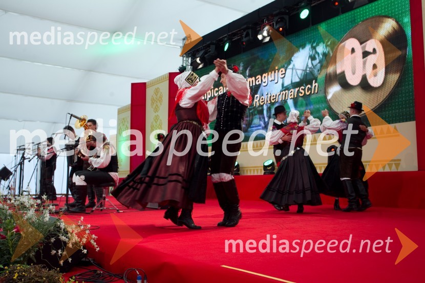 Folklorna skupina Iskraemeco KranjFestival Avsenik 2013, slovenski dan