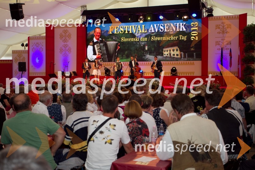 ObiskovalciFestival Avsenik 2013, slovenski dan