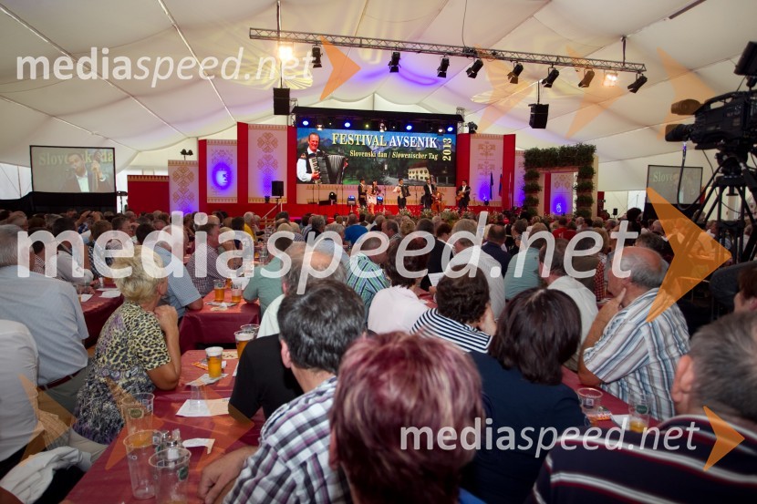 ObiskovalciFestival Avsenik 2013, slovenski dan