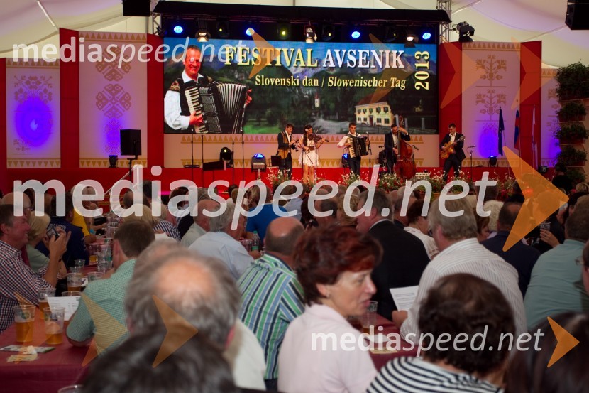 ObiskovalciFestival Avsenik 2013, slovenski dan