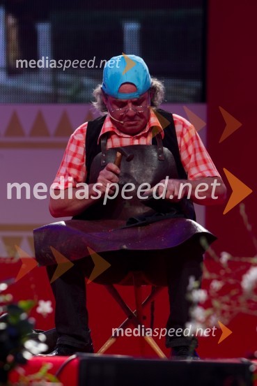 Klemen Košir, humoristFestival Avsenik 2013, slovenski dan