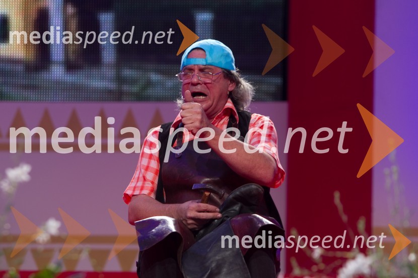 Klemen Košir, humoristFestival Avsenik 2013, slovenski dan