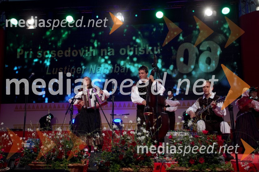 Anja Koračin, harmonikarka; Aleš Jurman, glasbenik; Matic Plevec, glasbenikFestival Avsenik 2013, slovenski dan