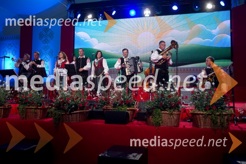 Ansambel ZupanFestival Avsenik 2013, slovenski dan