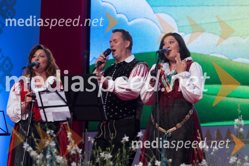 Ansambel ZupanFestival Avsenik 2013, slovenski dan