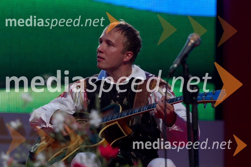 Ansambel ZupanFestival Avsenik 2013, slovenski dan