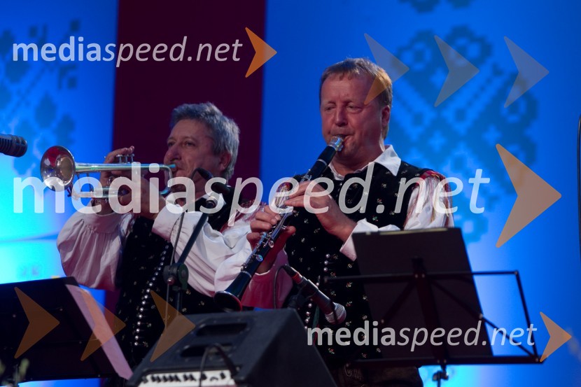 Ansambel ZupanFestival Avsenik 2013, slovenski dan