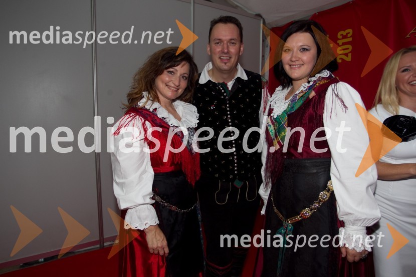 Ansambel ZupanFestival Avsenik 2013, slovenski dan