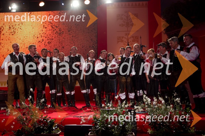 NastopajočiFestival Avsenik 2013, slovenski dan