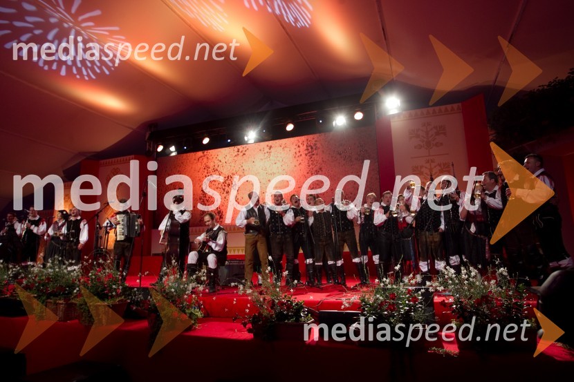 NastopajočiFestival Avsenik 2013, slovenski dan