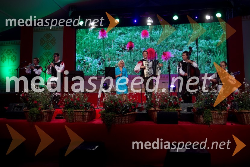 Ansambel Saša AvsenikaFestival Avsenik 2013, slovenski dan