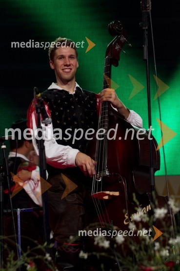 Sašo Avsenik, glasbenikFestival Avsenik 2013, slovenski dan