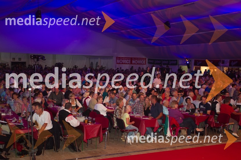 ObiskovalciFestival Avsenik 2013, slovenski dan