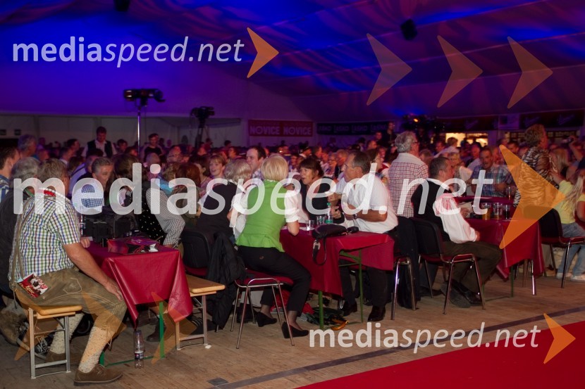 ObiskovalciFestival Avsenik 2013, slovenski dan