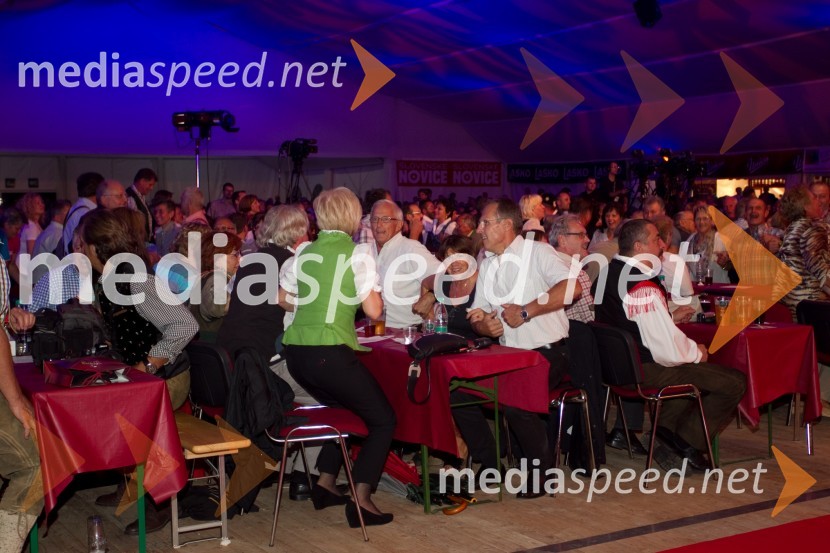 ObiskovalciFestival Avsenik 2013, slovenski dan