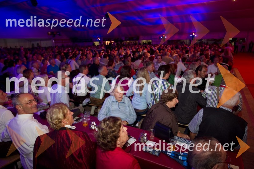 ObiskovalciFestival Avsenik 2013, slovenski dan