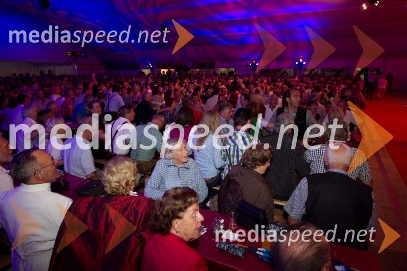 ObiskovalciFestival Avsenik 2013, slovenski dan