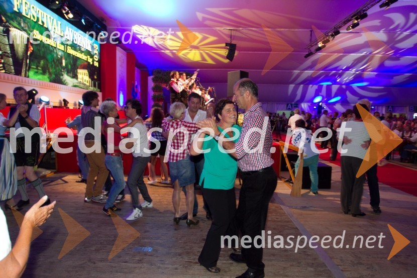 ObiskovalciFestival Avsenik 2013, slovenski dan