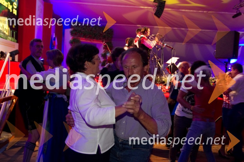 ObiskovalciFestival Avsenik 2013, slovenski dan