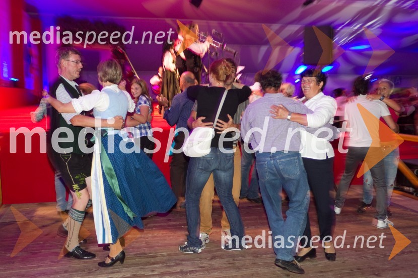 ObiskovalciFestival Avsenik 2013, slovenski dan