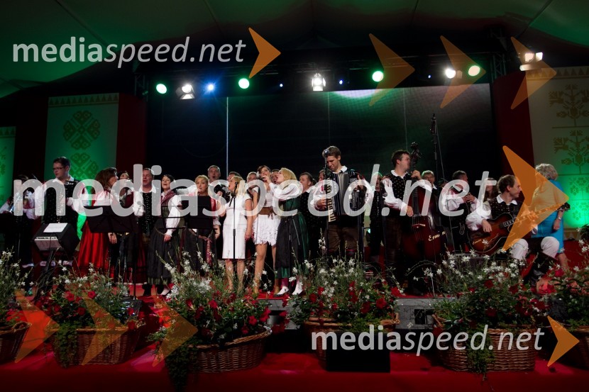 NastopajočiFestival Avsenik 2013, slovenski dan