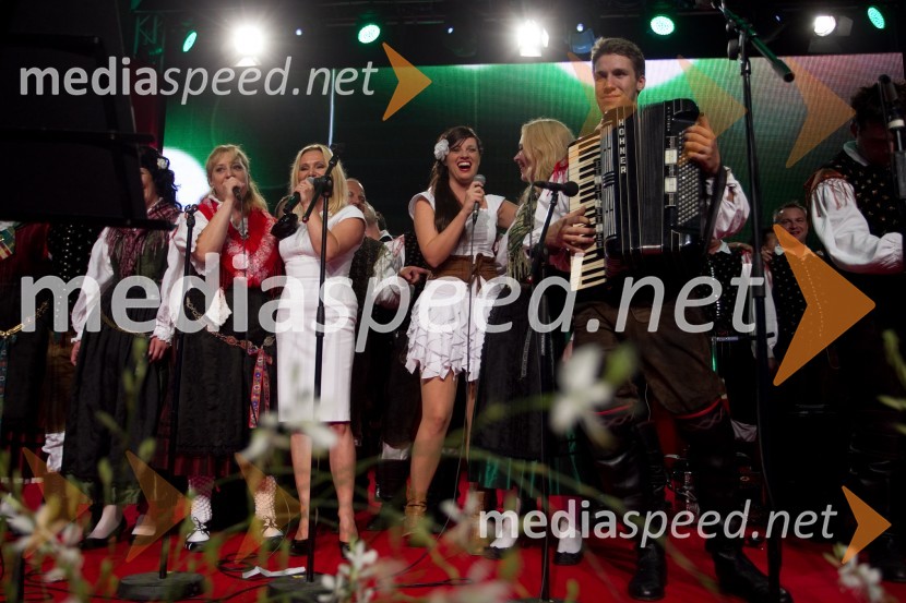 NastopajočiFestival Avsenik 2013, slovenski dan