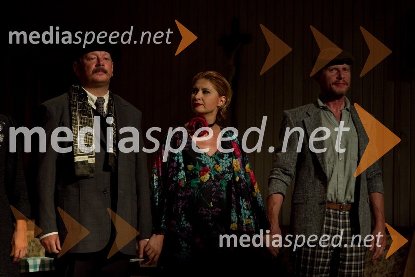 Robert Waltl, igralec; Vesna Pernarčič, igralka; Borut Veselko, igralecEx Ponto 2013, otvoritev festivala