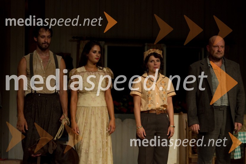 Miha Rodman, igralec; Saša Pavlin Stošić, igralka; Vesna Slapar, igralka; Peter Musevski, igralecEx Ponto 2013, otvoritev festivala