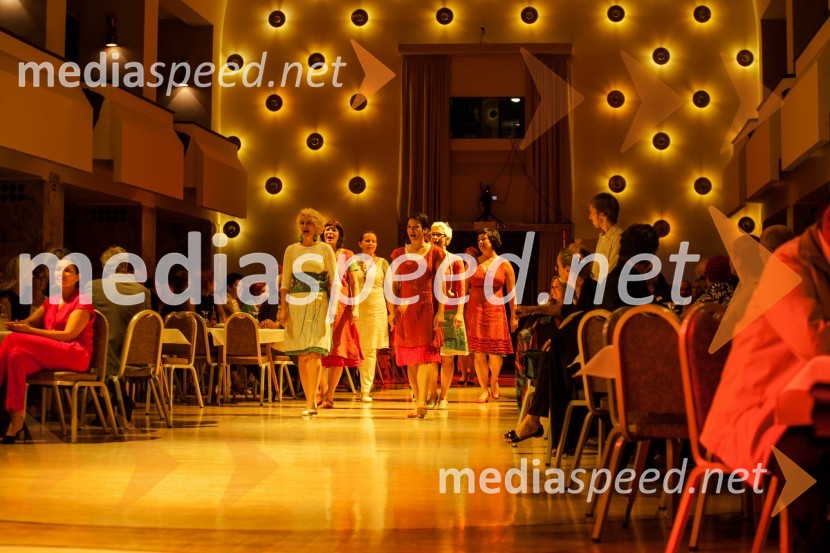 50 let Pionirskega doma Ljubljana