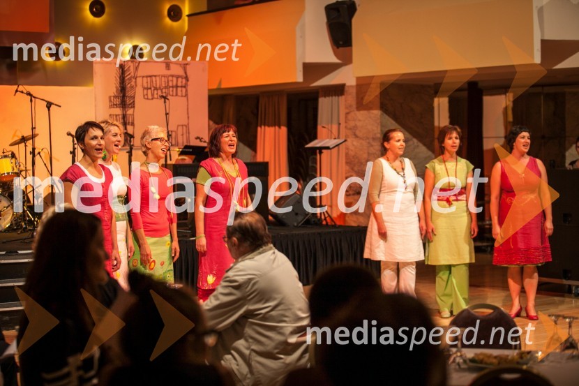 50 let Pionirskega doma Ljubljana