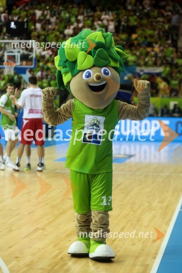LipkoEurobasket 2013, Slovenija - Poljska
