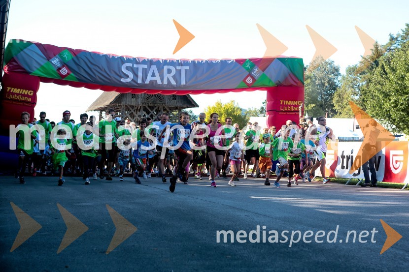 Družinski tekTriglav tek 2013