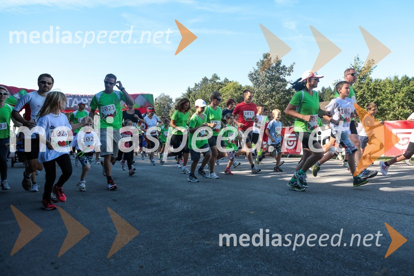 Družinski tekTriglav tek 2013