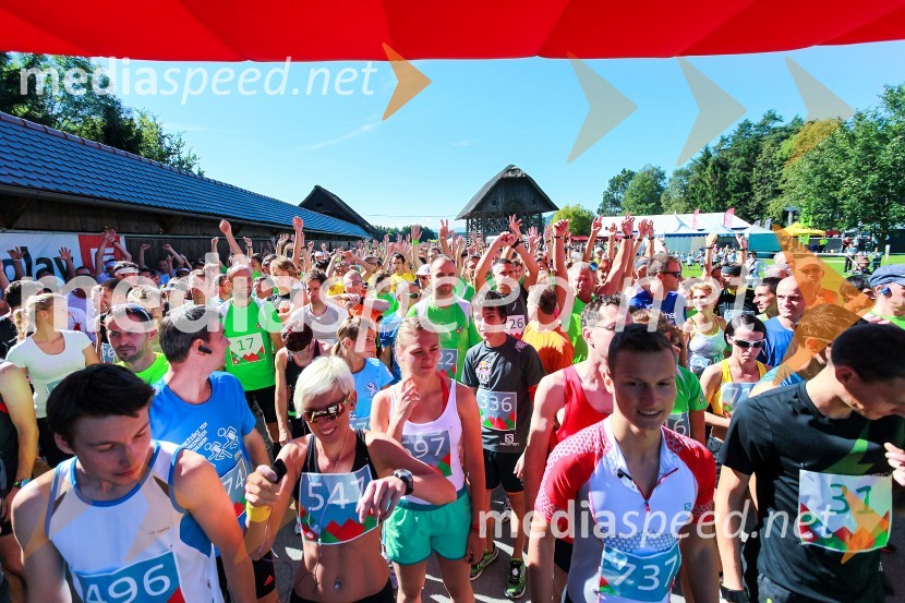 TekačiTriglav tek 2013