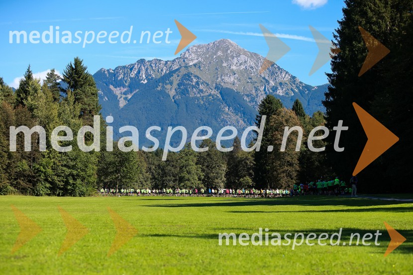 2. Triglav tekTriglav tek 2013